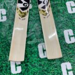 hp icon cricket bat