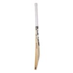 SG KLR EDITION english willow CRICKET BAT