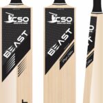Beast Player Edition Cricket Bat - English Willow, Massive Edges, Round Toe