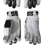 ss-dragon-cricket-batting-gloves