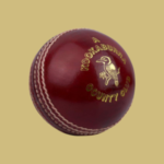 Cricket Balls